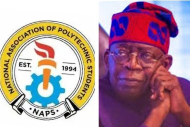 NAPS Logo, President Bola Tinubu